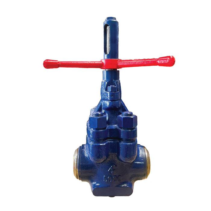 DM Type Mud Gate Valve, Buttweld, 5" x 4"