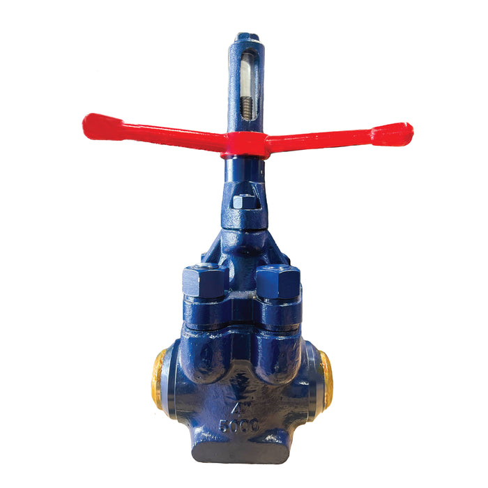 DM Type Mud Gate Valve, Buttweld, 4"